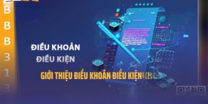 Điều Khoản Và Điều Kiện