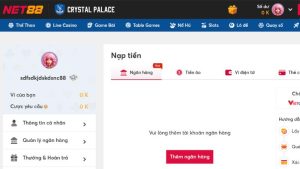 Giới thiệu hình thức nạp tiền tại 2 nền tảng Net88 và WE88
